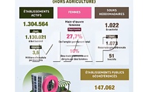 RGPH 2024 : La cartographie économique du Maroc dévoilée